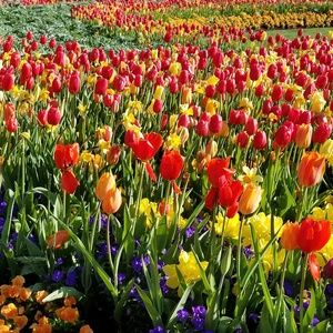 Meet your Posher, Katy